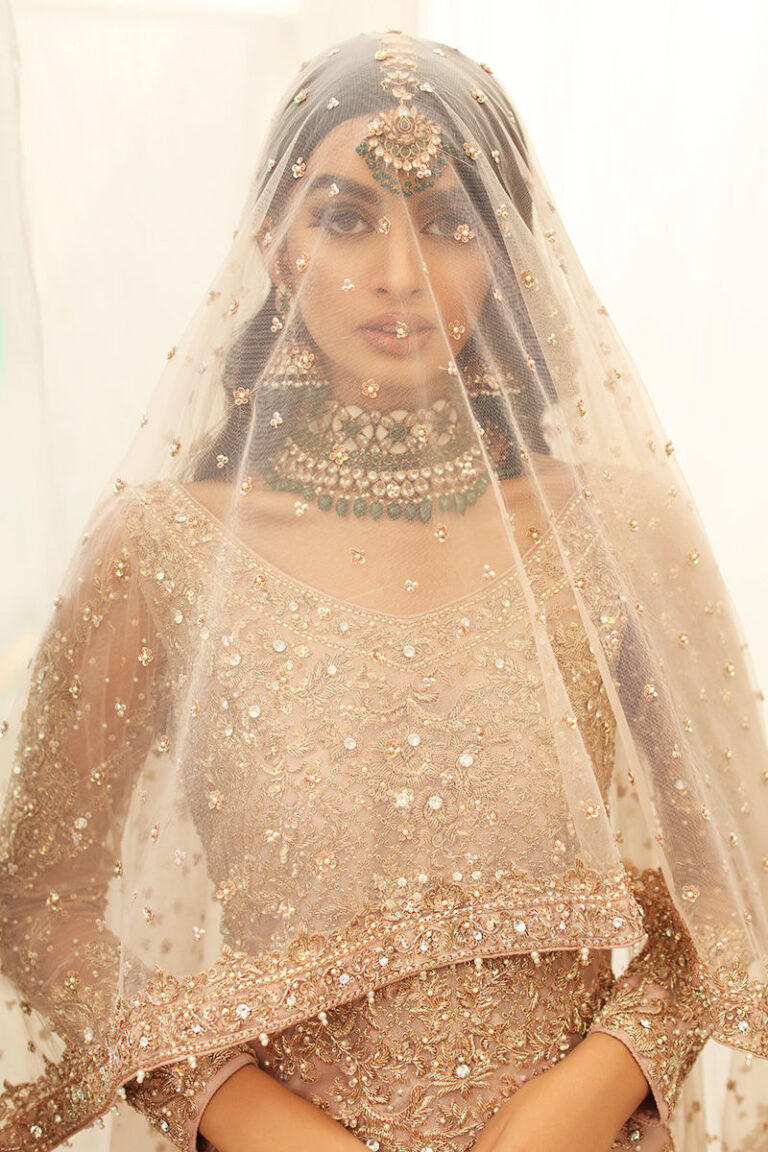 Exclusive Aisha Imran Bridal Dress Collection 2024